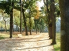 parc-cinquantenaire